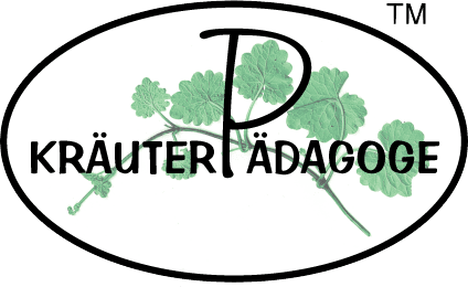 Barbara Doll Logo